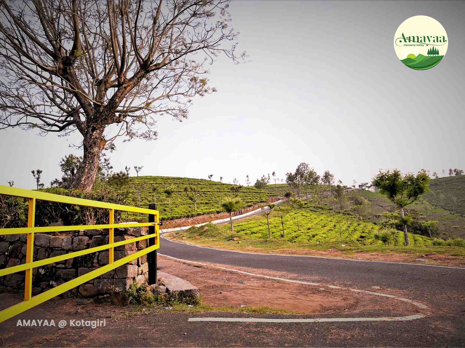 Amaya Natural Surroundings